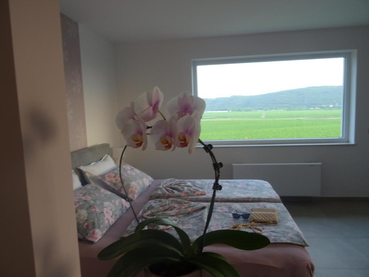 Val&Sol Apartments Sečovlje Εξωτερικό φωτογραφία